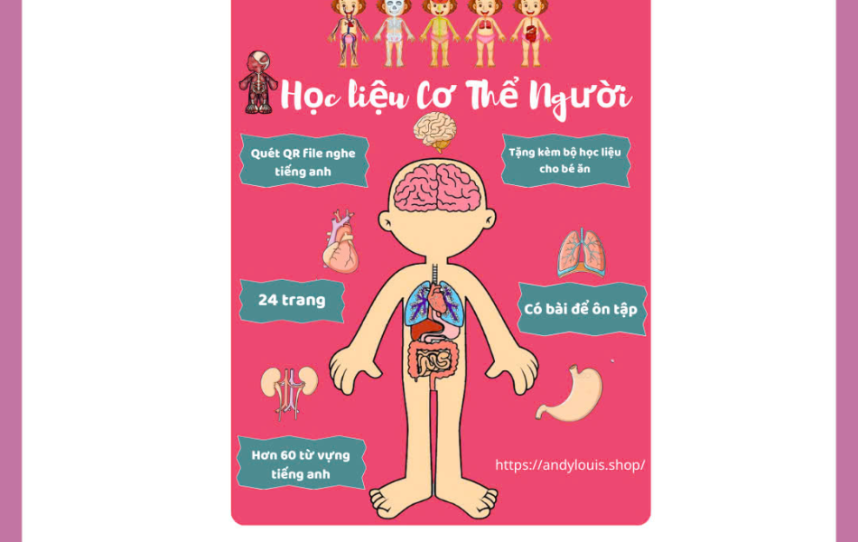 Học liệu - Cơ thể người